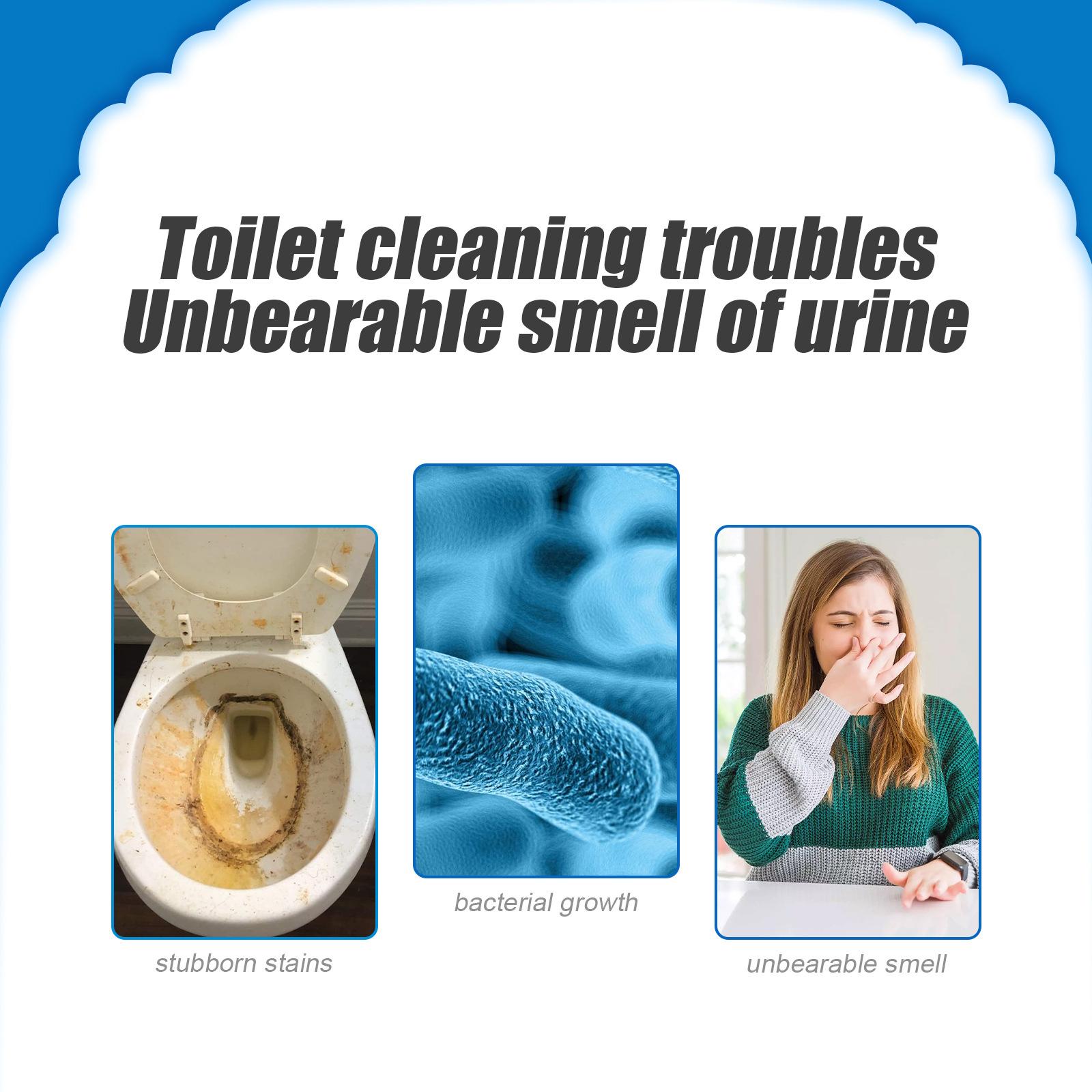 Toilet Bowl Cleaner Powder Dee - đánh giá và giá Home Bathroom Cleaning Solution